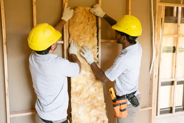 Best Residential Insulation Services  in USA